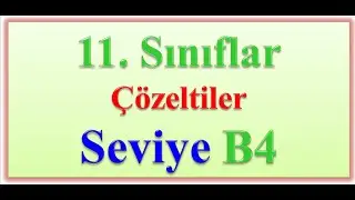 11. Sınıflar Çözeltiler Seviye B4