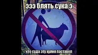 Трактор 🚜