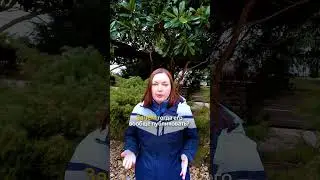 Думаете чем больше пользы в контенте, тем лучше будут покупать? А вот и нет.