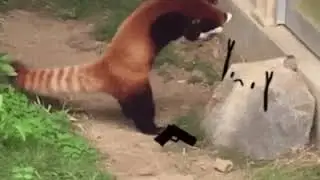 Руки вверх