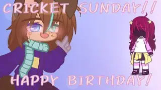 Cricket Sunday||HAPPY BIRTHDAY!||@cat_misfortune