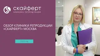 Обзор клиники репродукции «Скайферт» Москва: ЭКО, ЭКО по ОМС, лечение бесплодия