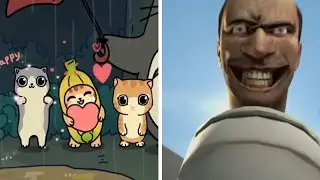 Happy cat best compilation part 2