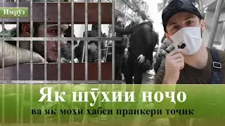 🌎 Барномаи хабарии 