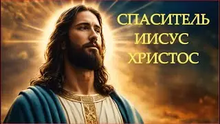 жизнь Иисуса Христа. чудеса Христа. Господь
