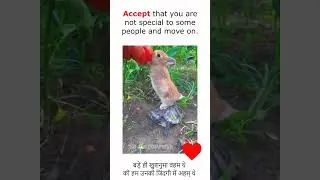 I don't want to be at the mercy of my emotions 🚩   #krishna #sawariya_seth  #shortvideo