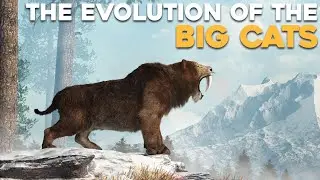 What are the Origins of Big Cats?