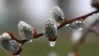 Весенний Ноктюрн - В. Первунинский.