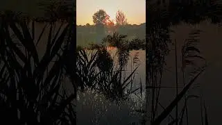 @Zachód słońca nad Szachtami Poznań 