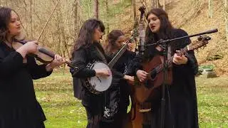 The Fly Birds - 