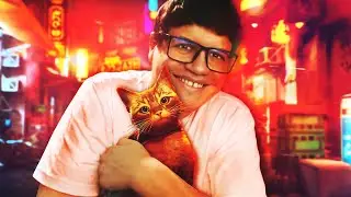 MIAU! MIAU! - Stray