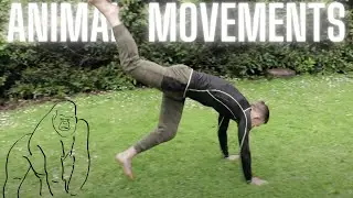 Beginner Animal Movements To Increase Coordination Skills