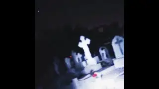 проверка фз прошла успешно