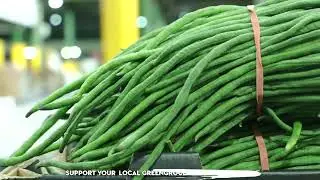 What's in Season - Snake Beans