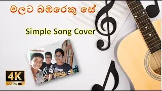 Malata Babareku Se - මලට බඹරෙකු සේ | Simple Song Cover | Think Plus | Ft Sanuka Perera | 4K