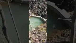 Пруд и река
