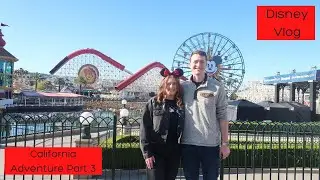 Disney's California Adventure || Lamplight Lounge || February 2022