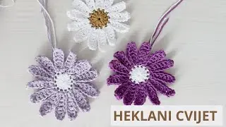 Heklana tratinčica/heklani cvijet/cvijet sa treinaest latica
