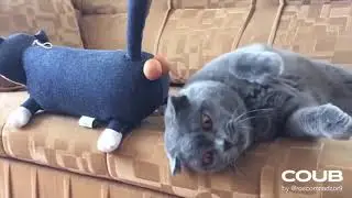 Коубы с моего канала