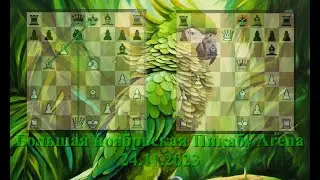 Шахматы. Большая ноябрьская Пикабу Arena. 24.11.2023 Показательная партия из турнира.