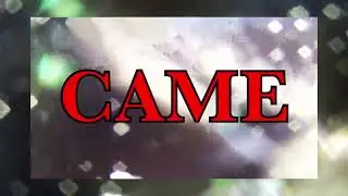 Allegra Krieger - Came (Official Music Video)