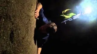 Вертикальное видео  [Вырезанные кадры]