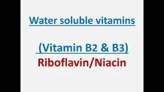 What is Vitamin B2 & B3 #riboflavin #niacin #whatisvitamin