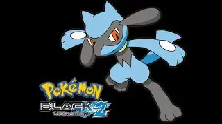 Pokemon Black 2 - The Rematch
