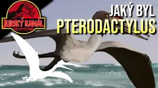 Pterodactylus: Pterosauří racek | Atlas Druhů #31 | Jurský Kanál