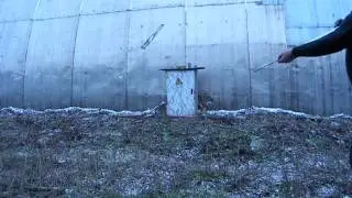 стрельба тамва