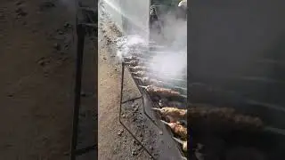 1 сентября 2024 г.