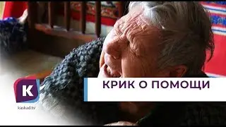 Жуткие крики не дают спать жителям улицы Багратиона