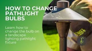 How to Change a Pathlight Bulb | Outdoor Landscape Lighting Guide