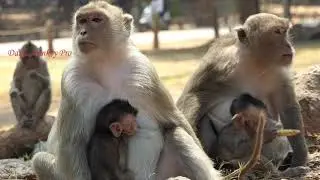 Good Mom with their baby are happy to enjoy