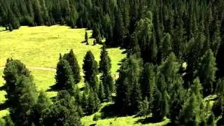 Estate in Val di Fiemme - Trentino - Dolomiti