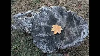 Ноябрьские впечатления, мои фотоальбомы