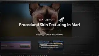 07 - How to texture skin in Mari - Secondary Colors