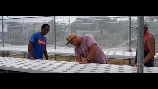 FARM EXPANSION I QUALITY CHECK GREENHOUSE 1
