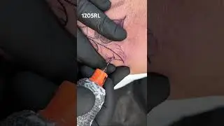 Whip Shading