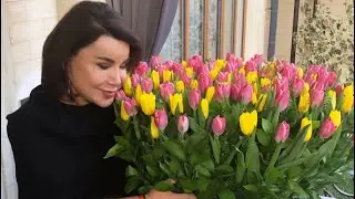 Yulduz Usmonova konsert 2021