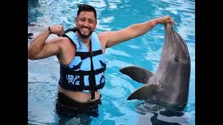 Bonita experiencia con los delfines en familia 🐬💙🙏🏻