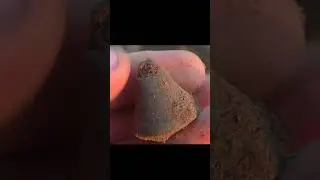 Старинный колокол нашел с металлоискателем minelab manticore shorts video