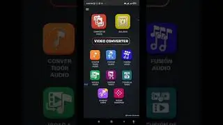Video converter versión profesional