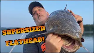70Lb GIANT Flathead Catfish; Watts Bar Lake-Tennessee River Monsters Guide Service #Shorts