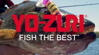 Crystal Minnow Walleye Deep Diver: Ryan Flaro