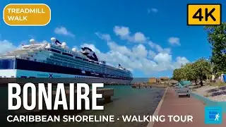 Walk along the Caribbean shoreline of Kralendijk, Bonaire [Treadmill Scenery, Virtual Walk]