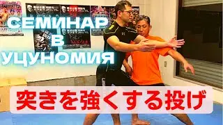 【宇都宮セミナー】突きを強くする投げ