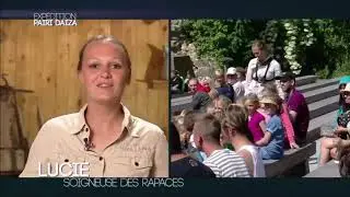 film Expédition Pairi Daisa sur la fauconnerie