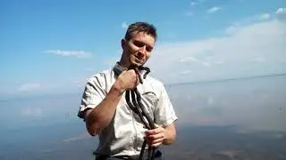 Змеи в апреле, Камышин Волга.