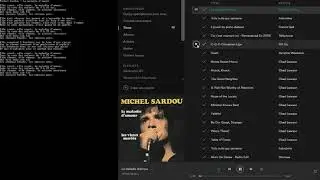 Spotify lyrics program